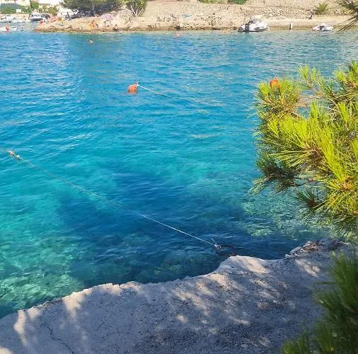 Jelena アパート *